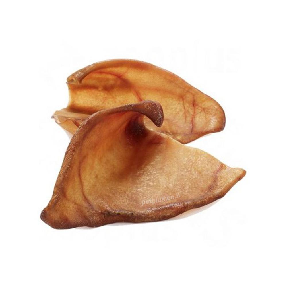 אוזן חזיר