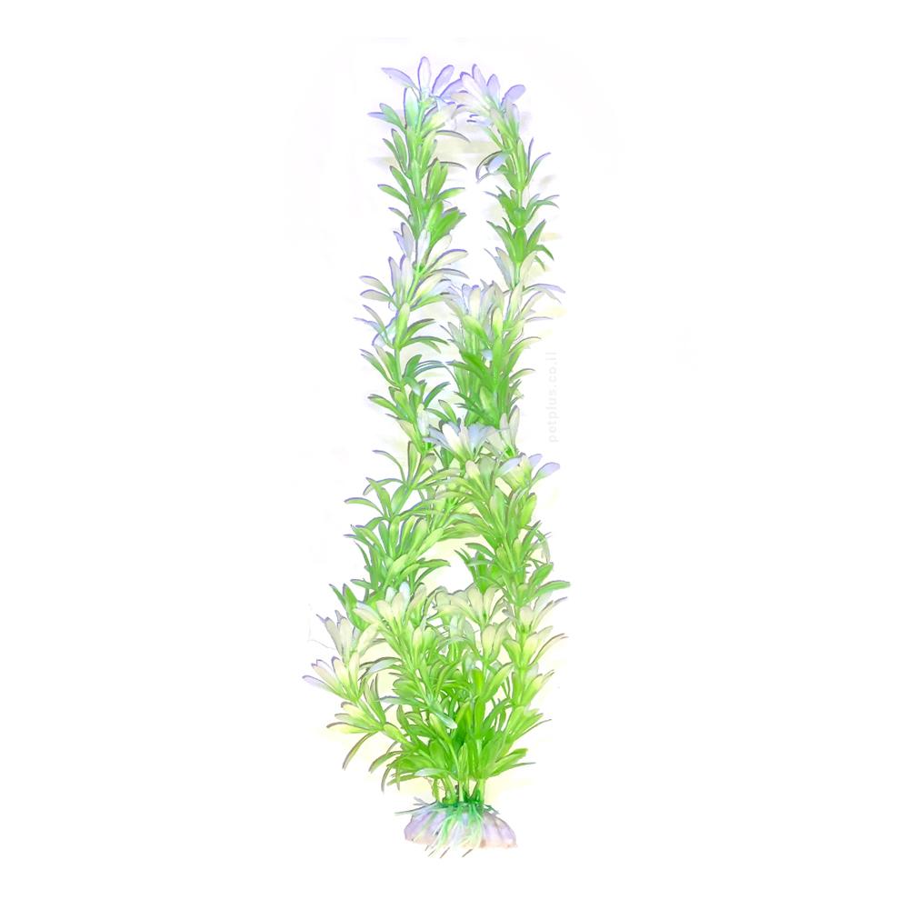 צמח לאקווריום 30 סמ ירוק לבן