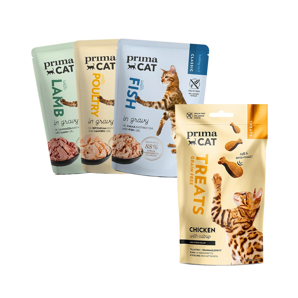 מארז פינוקים לחתול