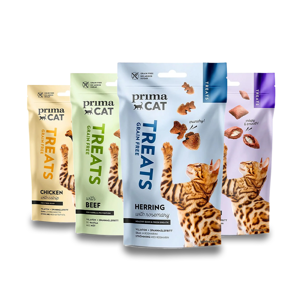 דיל היכרות חטיפים פרימה קט חתול