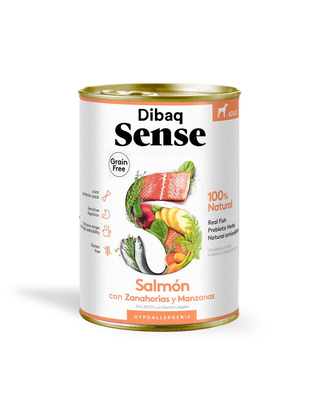 dibaq sense salmon.jpg