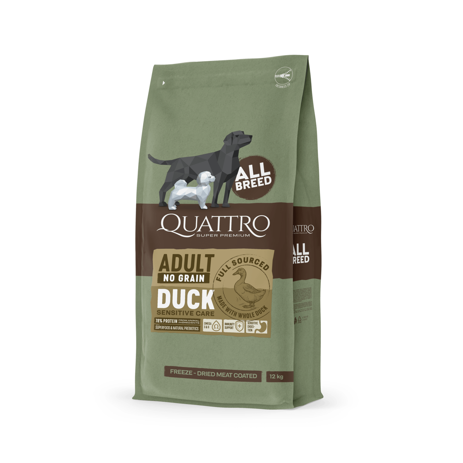 quattro duck square