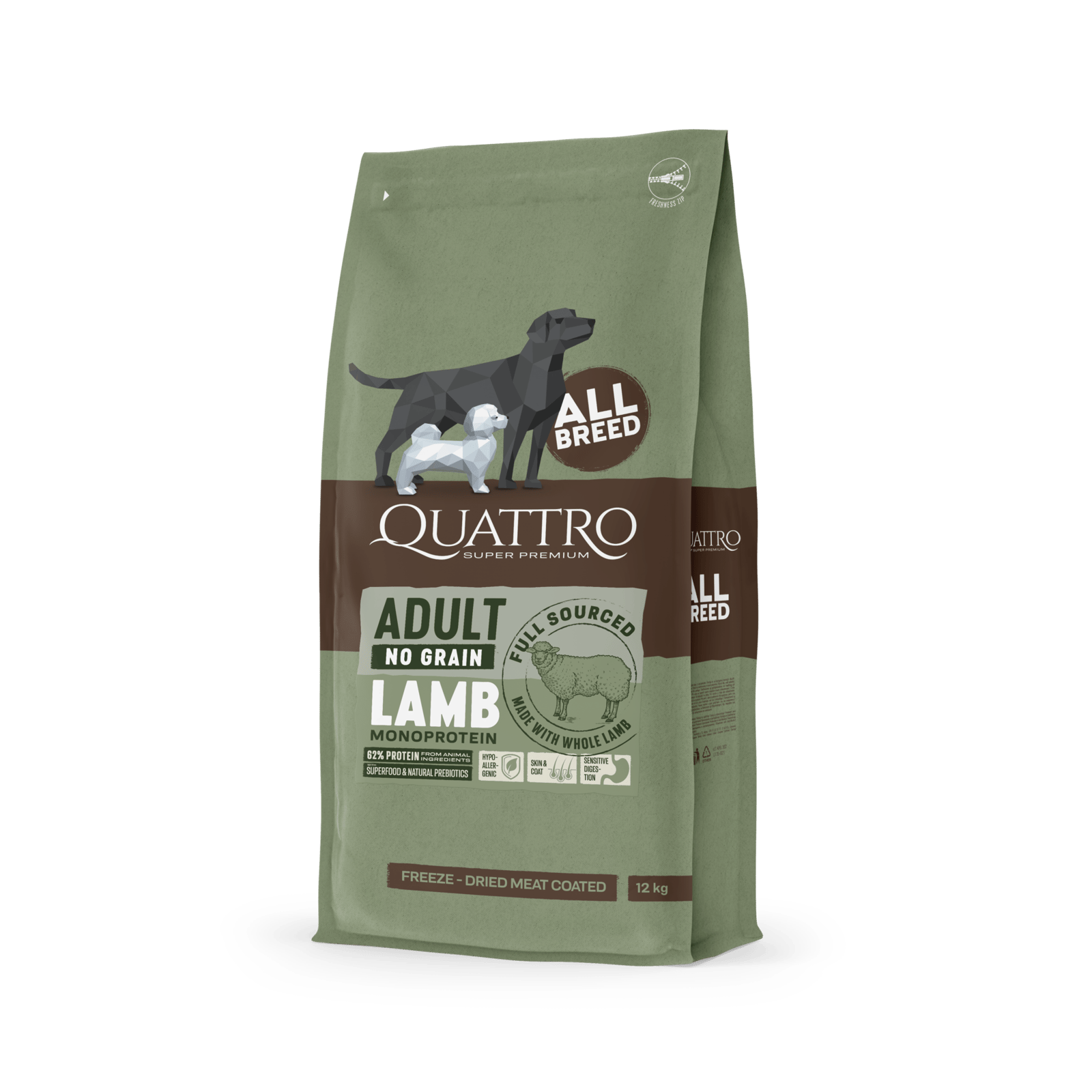 quattro lamb square