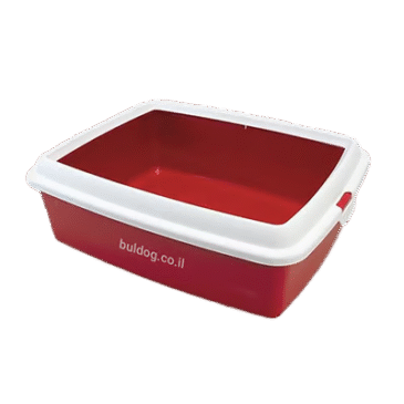 שירותים פתוחים לחתול