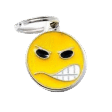 תגי שם לכלב צ'ארם