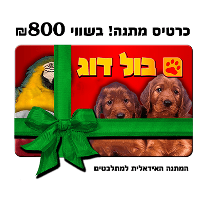 4365