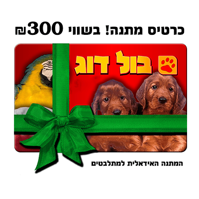 4370