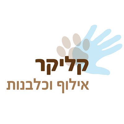 כלבים אילוף בולדוג