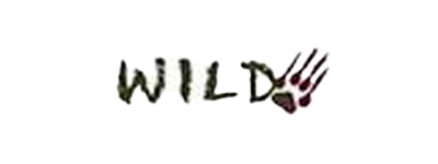 ווילד - Wild