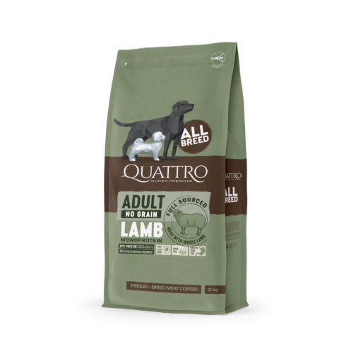 quattro lamb square