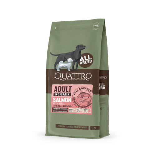 quattro salmon square