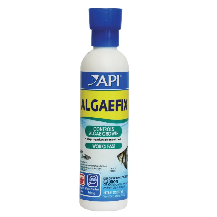 API אלגפיקס