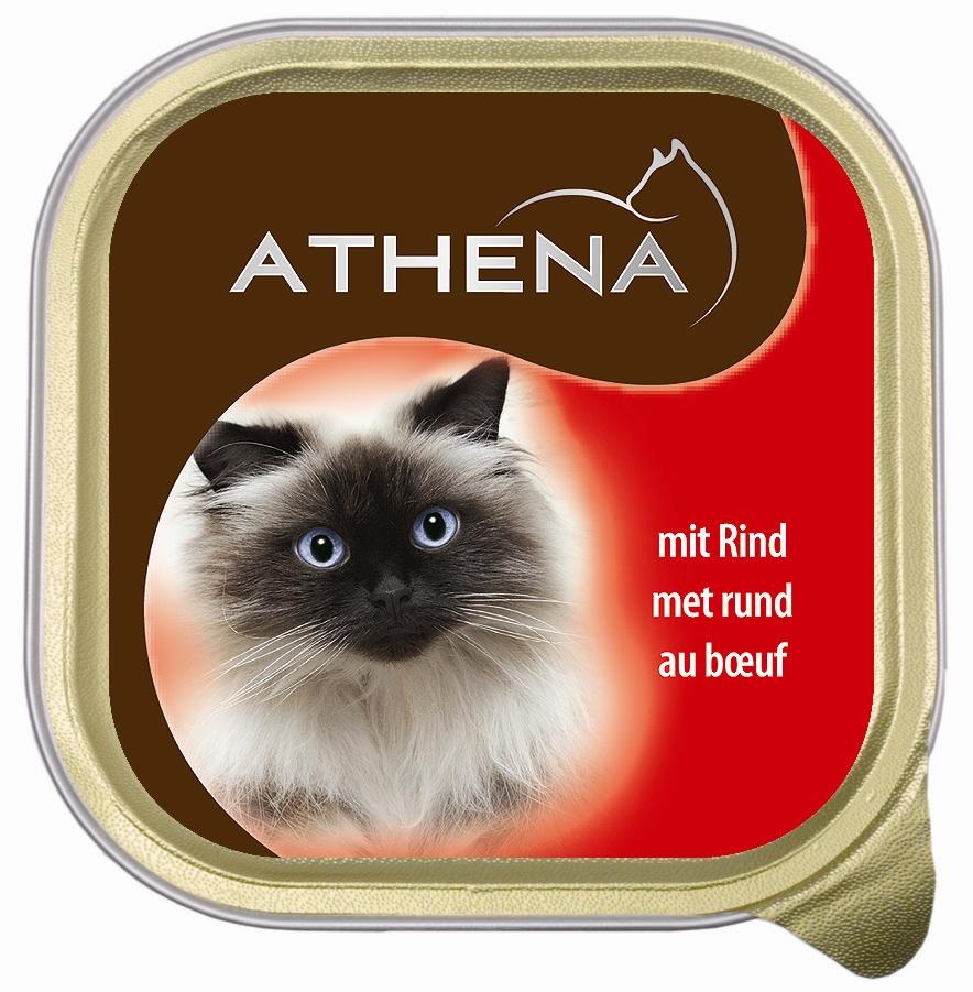 4249