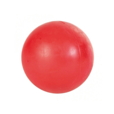 1636