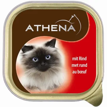 4249