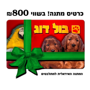 4365