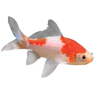450