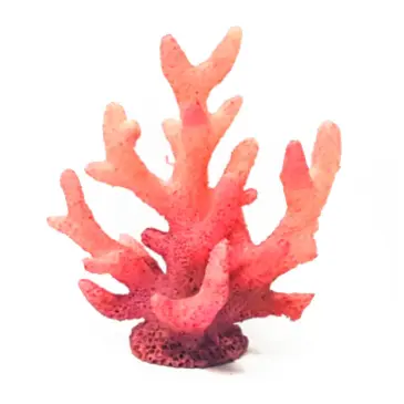 SZ 601 קישוט לאקווריום אלמוג