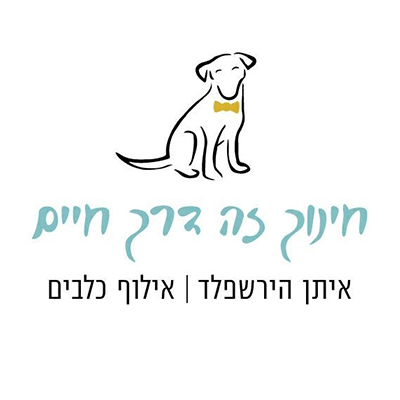 אילוף כלבים בבולדוג