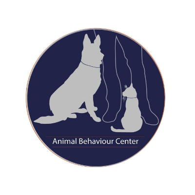 אילוף כלבים בולדוג חנות חיות