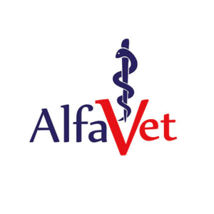 אלפא וט בולדוג חנות חיות מומלצת