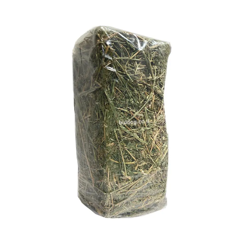 אספסת למכרסמים