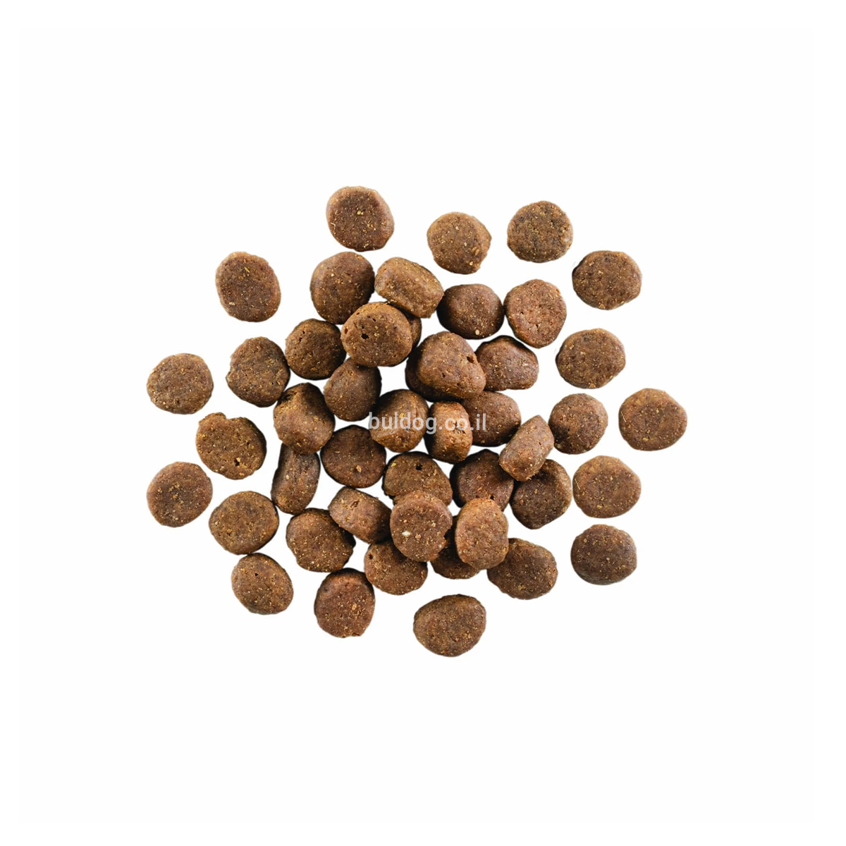 גו קרניבור ללא דגנים כבש גרגירים