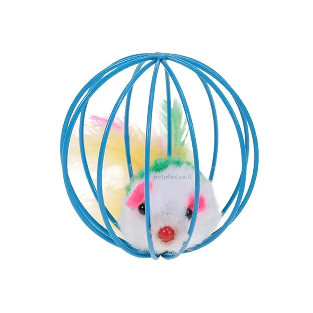 כדור עם עכבר