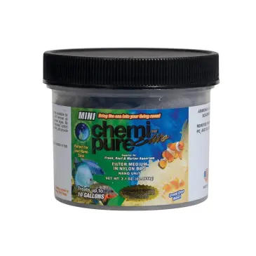 כמי פיור מיני