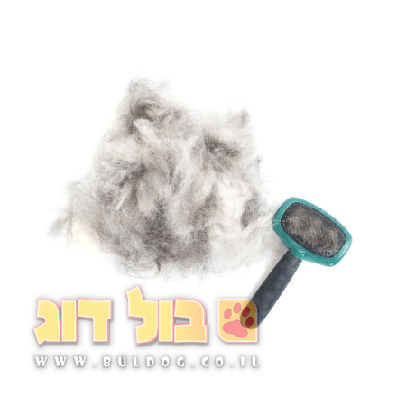 מדריך נשירת שיער אצל כלבים