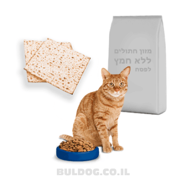 מזון חתולים לפסח ללא חמץ