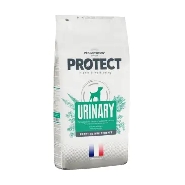 מזון לכלב פרוטקט יורינרי