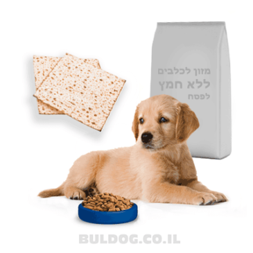 מזון לכלבים ללא חמץ לפסח
