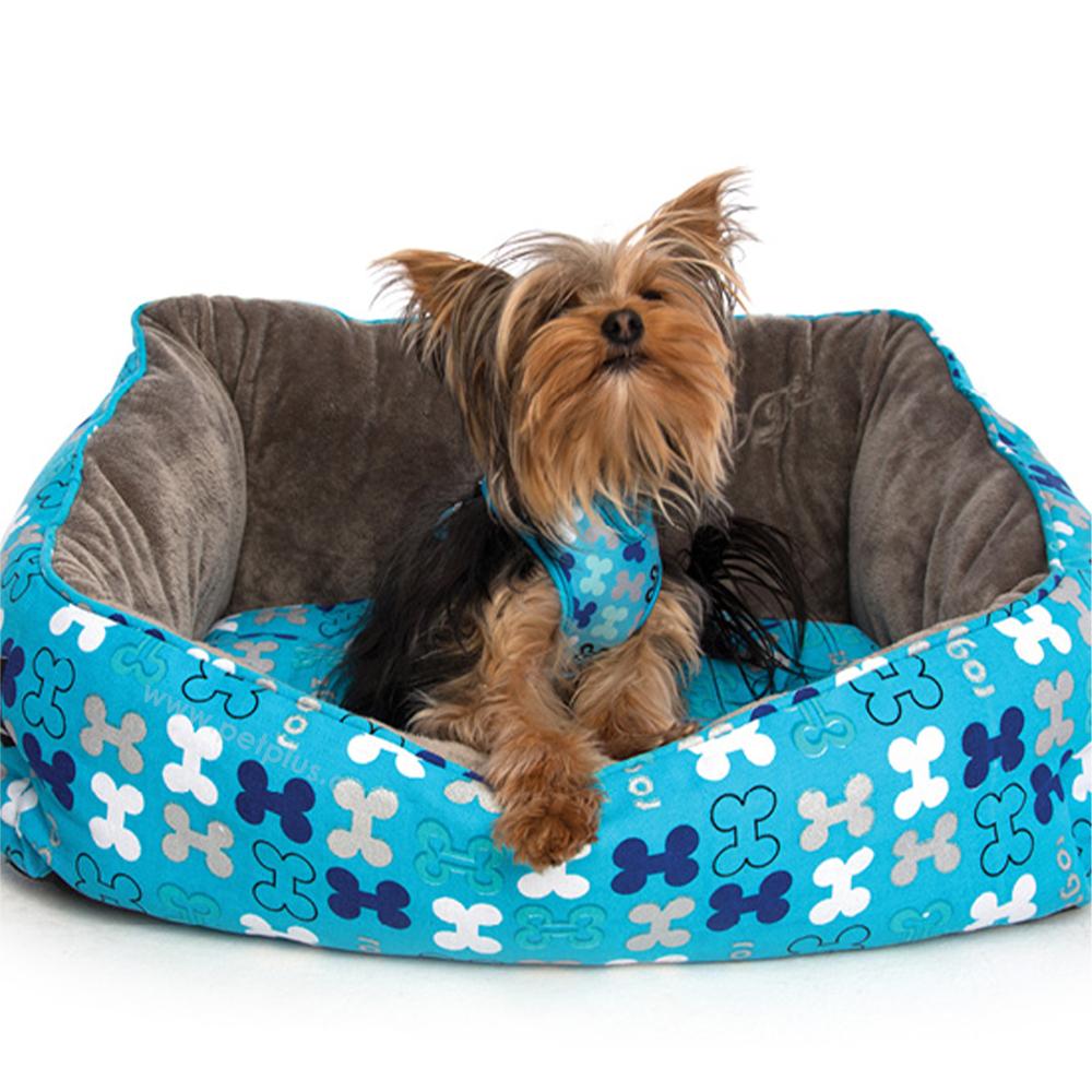 מיטה אופנתית רוגז תכלת עם כלב