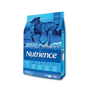 נוטריאנס בוגר גדול