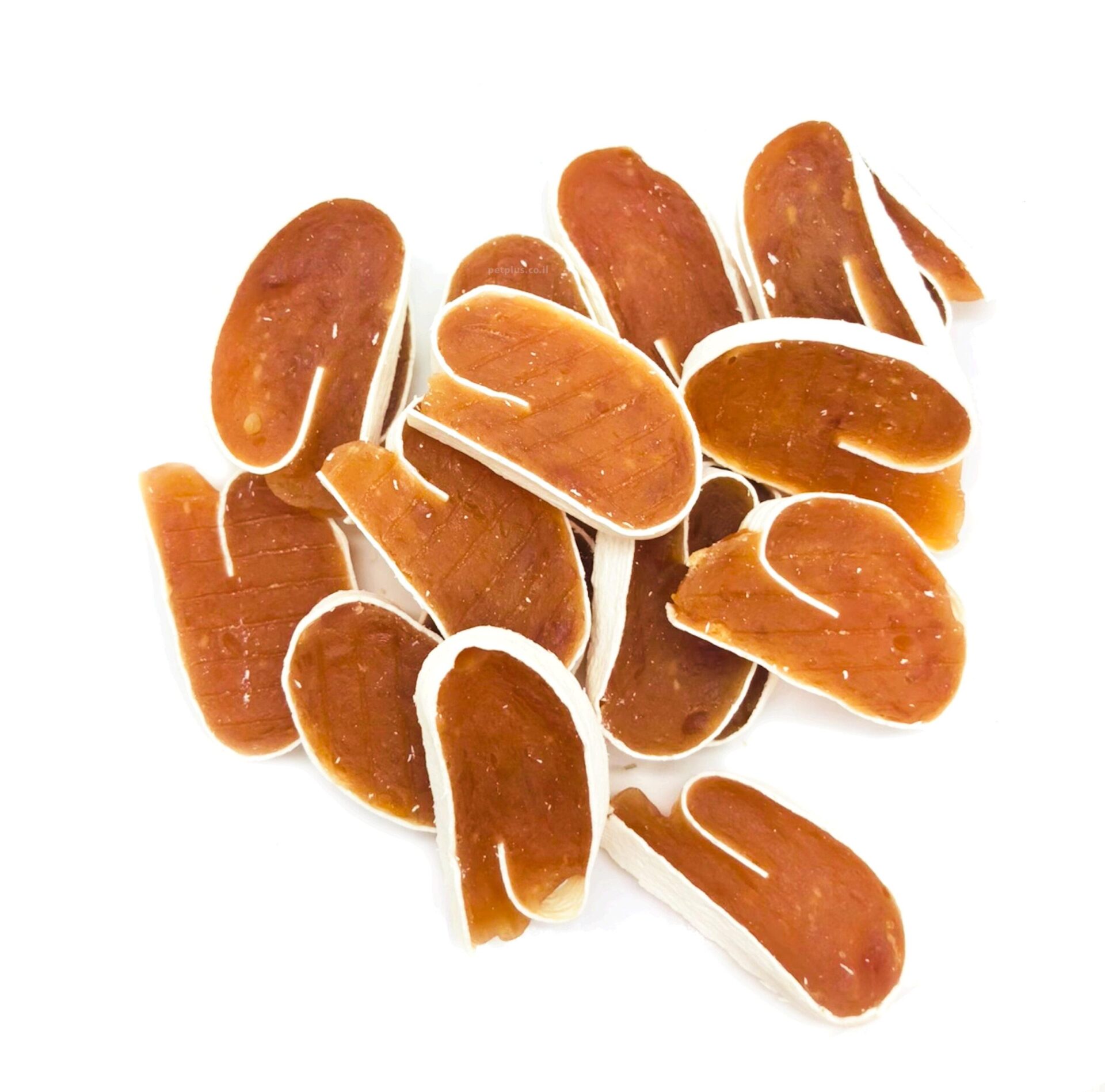 פור לייף סושי עוף scaled