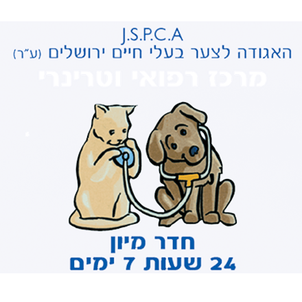 צער בעלי חיים בולדוג ירושלים