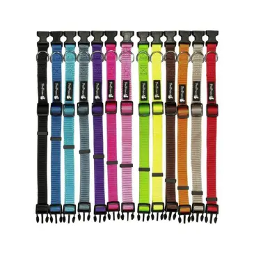 קולר לכלב קליפס פטס פרוגקט L