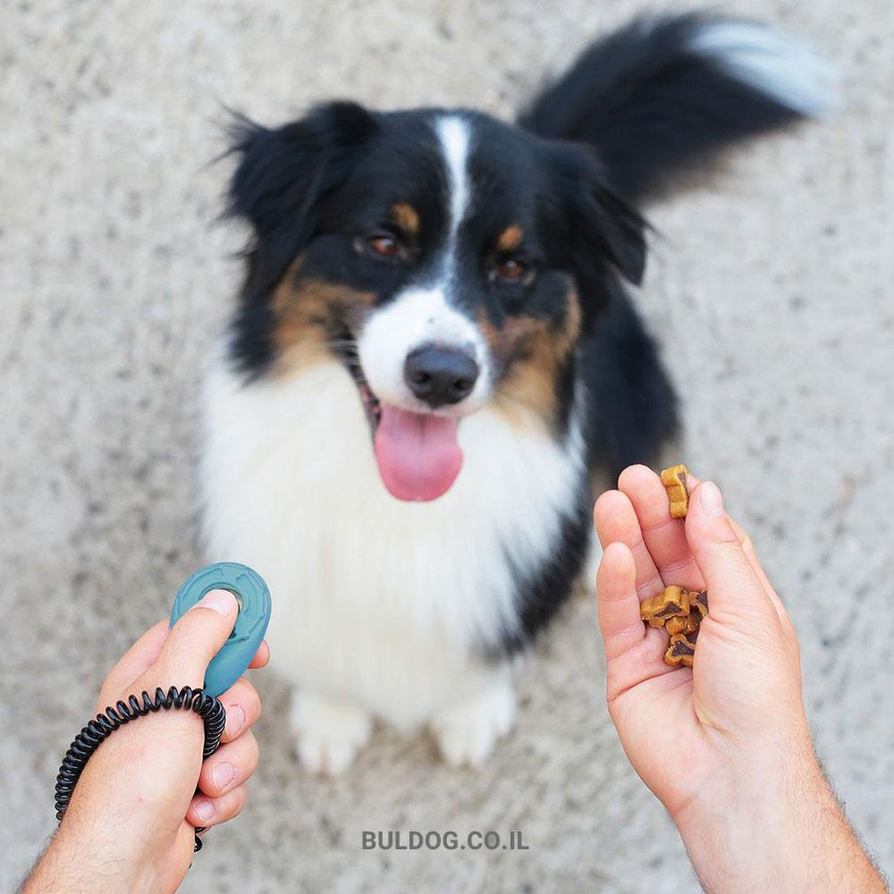 קליקר לאימון עם חטיפים לאילוף