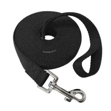 רצועת אילוף 10M