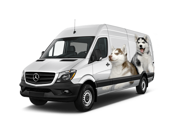 משלוחים חנות חיות 1