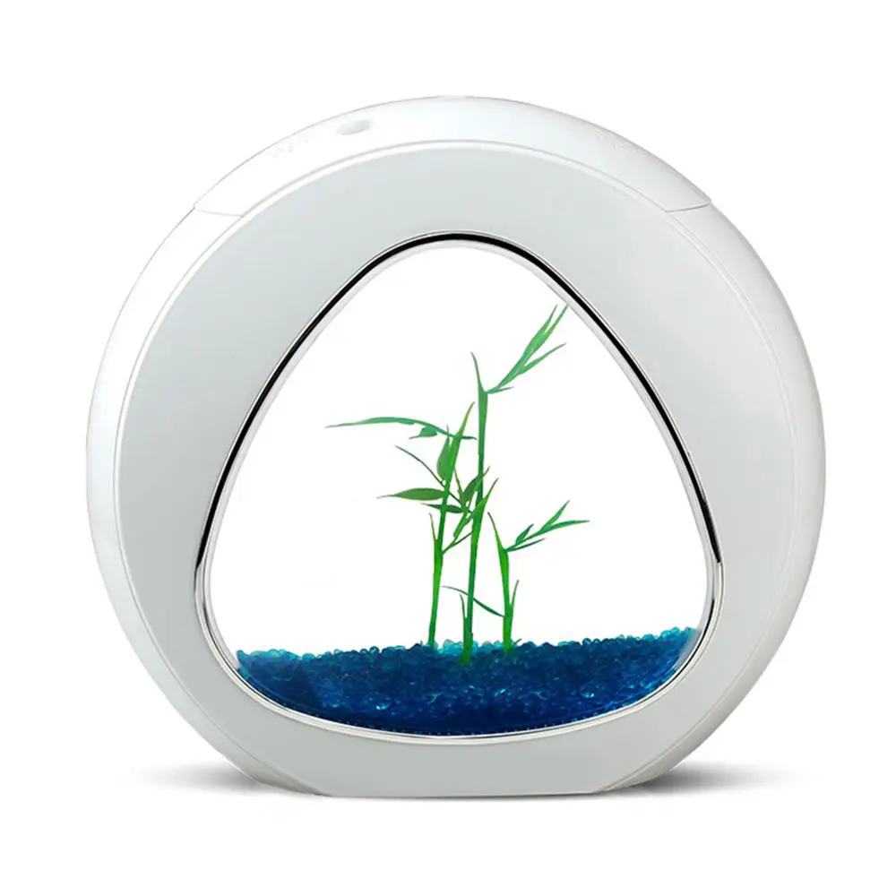 אקווריום קטן עגול