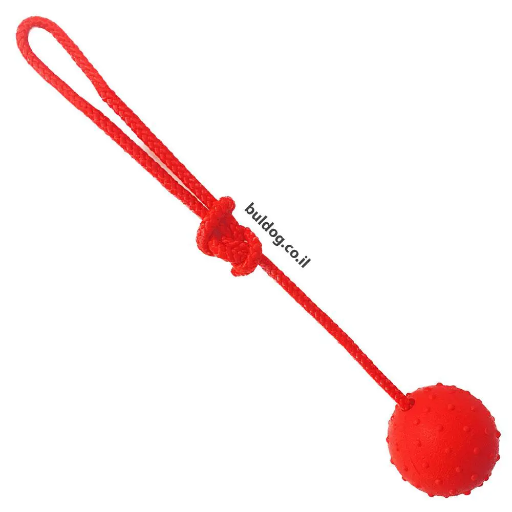 כדור גומי לכלב עם חוט גדול