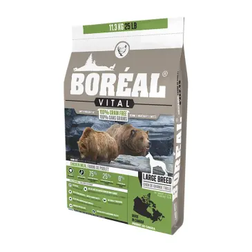 בוריאל ויטל בוגרגזע גדול עוף