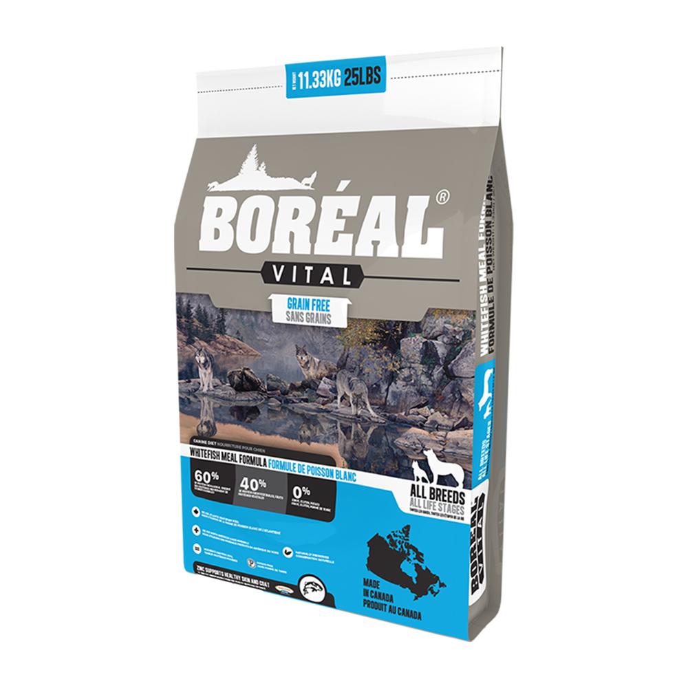 בוריאל ויטל דגים לבנים