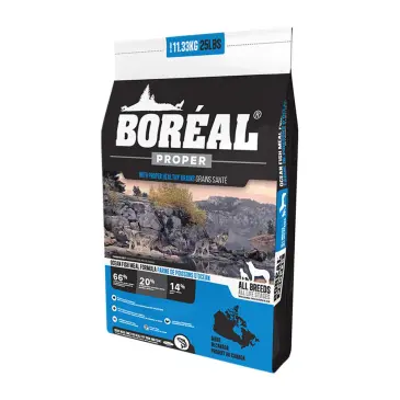 בוריאל פרופר דגי אוקיינוס