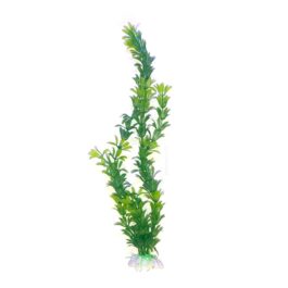 צמח-לאקווריום-30-סמ-ירוק