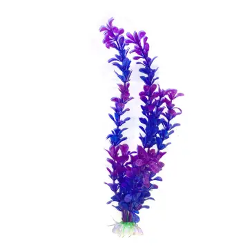 צמח לאקווריום 30 סמ סגול