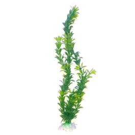 צמח-לאקווריום-40-סמ-ירוק