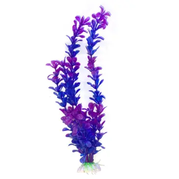 צמח לאקווריום 40 סמ סגול